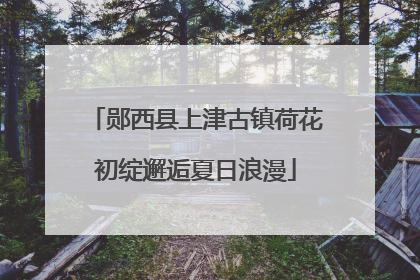 郧西县上津古镇荷花初绽邂逅夏日浪漫
