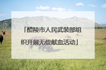 醴陵市人民武装部组织开展无偿献血活动