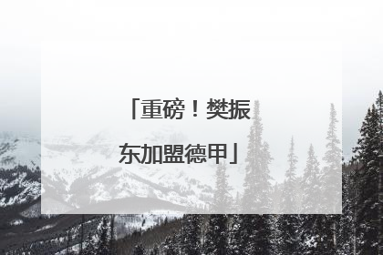 重磅！樊振东加盟德甲