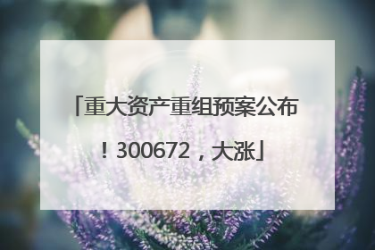 重大资产重组预案公布！300672，大涨