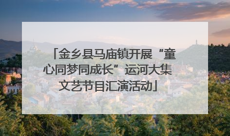 金乡县马庙镇开展“童心同梦同成长”运河大集文艺节目汇演活动