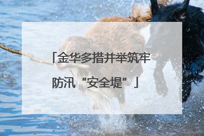 金华多措并举筑牢防汛“安全堤”