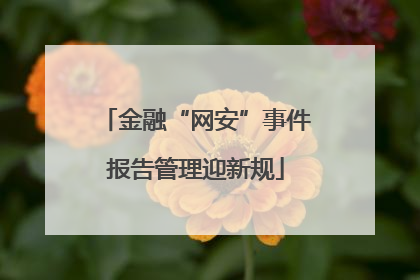 金融“网安”事件报告管理迎新规