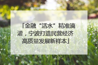 金融“活水”精准滴灌，宁波打造民营经济高质量发展新样本
