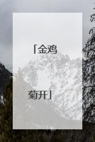 金鸡菊开