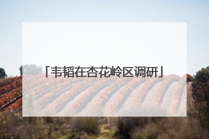 韦韬在杏花岭区调研