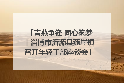 青燕争锋 同心筑梦丨淄博市沂源县燕崖镇召开年轻干部座谈会