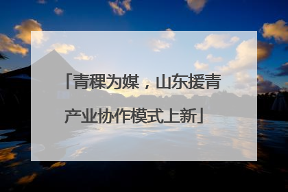 青稞为媒，山东援青产业协作模式上新