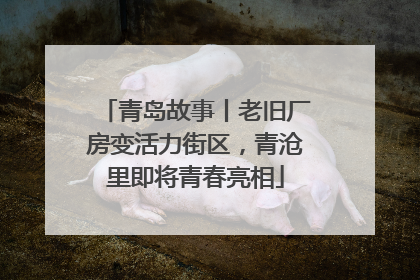 青岛故事丨老旧厂房变活力街区，青沧里即将青春亮相