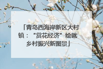 青岛西海岸新区大村镇：“赏花经济”绘就乡村振兴新图景
