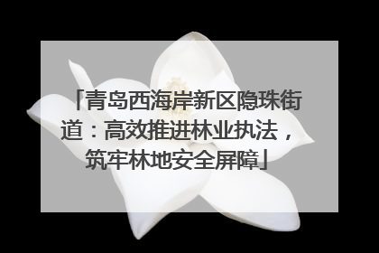 青岛西海岸新区隐珠街道：高效推进林业执法，筑牢林地安全屏障