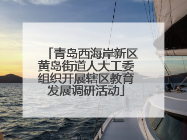青岛西海岸新区黄岛街道人大工委组织开展辖区教育发展调研活动