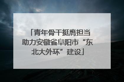 青年骨干挺膺担当 助力安徽省阜阳市“东北大外环”建设