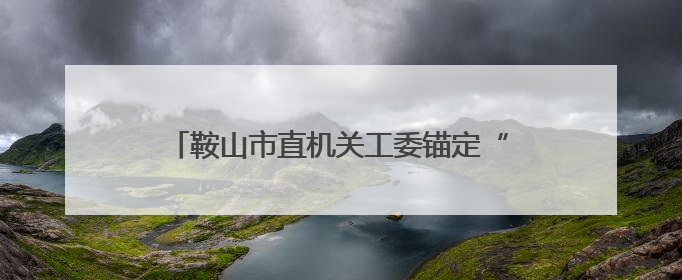 鞍山市直机关工委锚定“五个聚焦”抓党建促振兴
