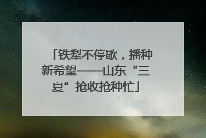 铁犁不停歇，播种新希望——山东“三夏”抢收抢种忙