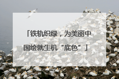 铁轨织绿，为美丽中国绘就生机“底色”