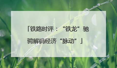 铁路时评：“铁龙”驰骋解码经济“脉动”