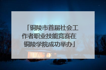 铜陵市首届社会工作者职业技能竞赛在铜陵学院成功举办
