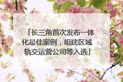 长三角首次发布一体化最佳案例，组建区域轨交运营公司等入选