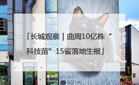 长城观察｜曲周10亿株“科技苗”15省落地生根