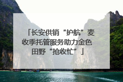长安供销“护航”麦收季托管服务助力金色田野“抢收忙”