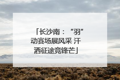 长沙南：“羽”动赛场展风采 汗洒征途竞锋芒