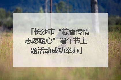 长沙市“粽香传情志愿暖心”端午节主题活动成功举办