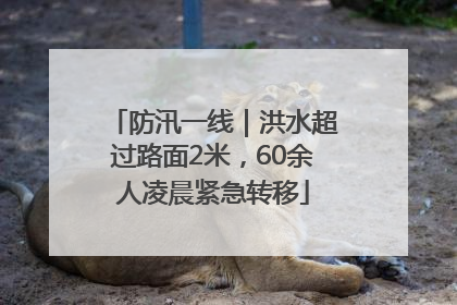 防汛一线｜洪水超过路面2米，60余人凌晨紧急转移