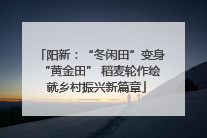 阳新：“冬闲田”变身“黄金田” 稻麦轮作绘就乡村振兴新篇章