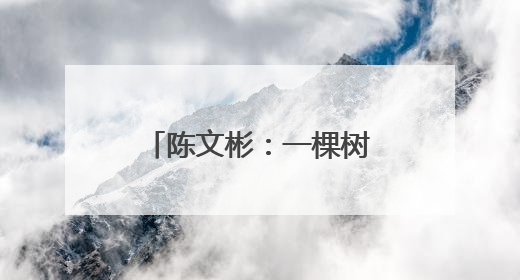 陈文彬：一棵树 一个庄 一块碑 一位英雄