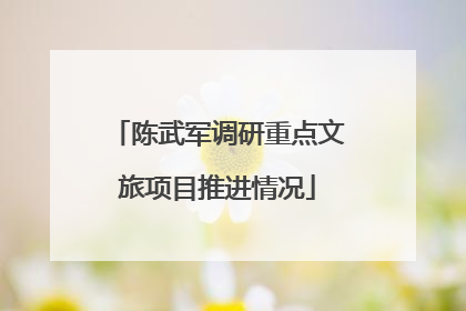 陈武军调研重点文旅项目推进情况