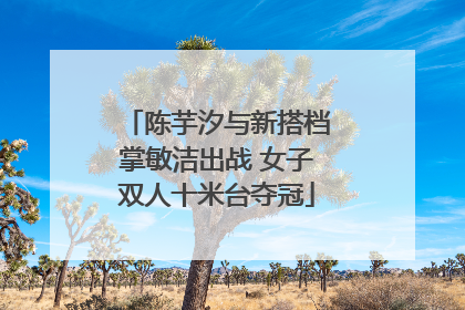 陈芋汐与新搭档掌敏洁出战 女子双人十米台夺冠
