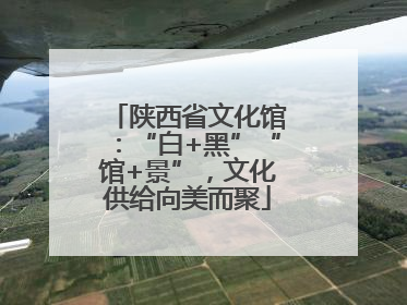 陕西省文化馆：“白+黑”“馆+景”，文化供给向美而聚