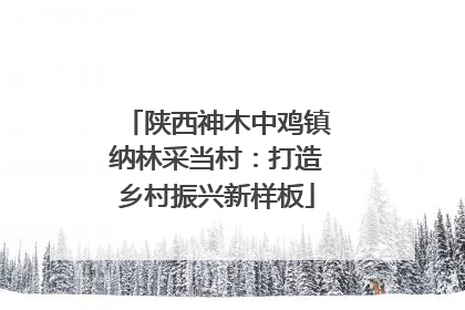 陕西神木中鸡镇纳林采当村：打造乡村振兴新样板