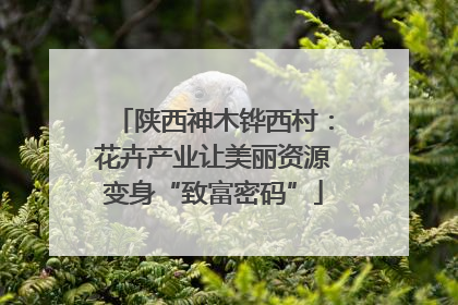 陕西神木铧西村：花卉产业让美丽资源变身“致富密码”