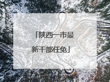 陕西一市最新干部任免