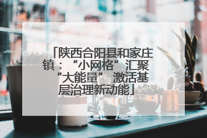 陕西合阳县和家庄镇：“小网格”汇聚“大能量” 激活基层治理新动能