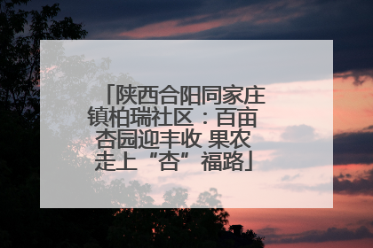 陕西合阳同家庄镇柏瑞社区：百亩杏园迎丰收 果农走上“杏”福路
