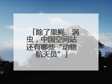 除了果蝇、涡虫，中国空间站还有哪些“动物航天员”