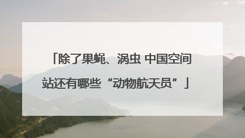 除了果蝇、涡虫 中国空间站还有哪些“动物航天员”