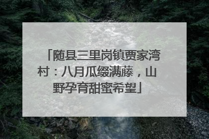 随县三里岗镇贾家湾村：八月瓜缀满藤，山野孕育甜蜜希望