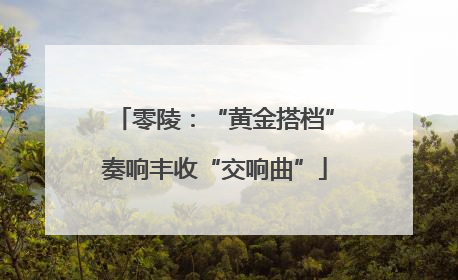 零陵：“黄金搭档”奏响丰收“交响曲”