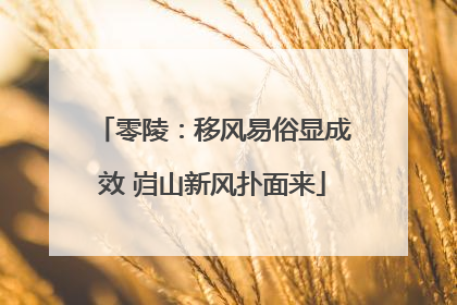 零陵：移风易俗显成效 岿山新风扑面来