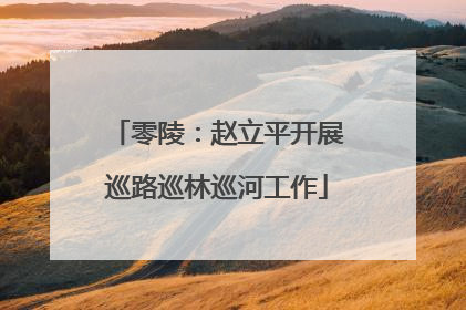 零陵：赵立平开展巡路巡林巡河工作