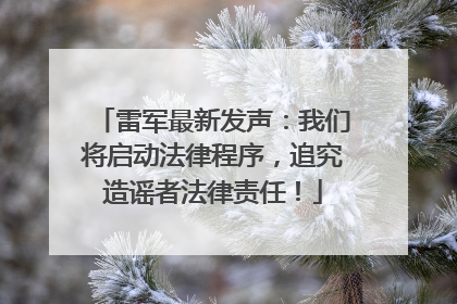 雷军最新发声：我们将启动法律程序，追究造谣者法律责任！