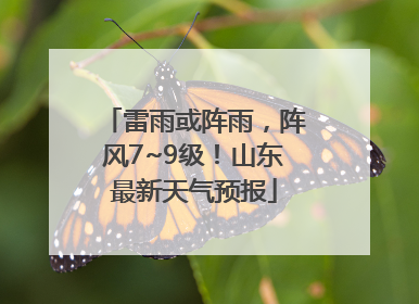 雷雨或阵雨，阵风7~9级！山东最新天气预报