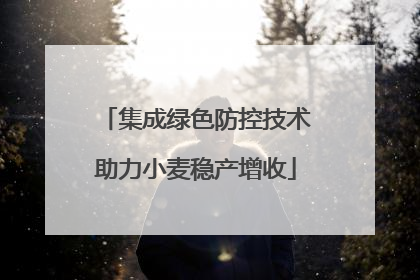集成绿色防控技术助力小麦稳产增收