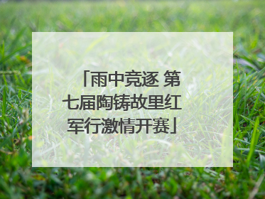 雨中竞逐 第七届陶铸故里红军行激情开赛