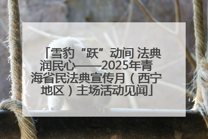雪豹“跃”动间 法典润民心——2025年青海省民法典宣传月（西宁地区）主场活动见闻