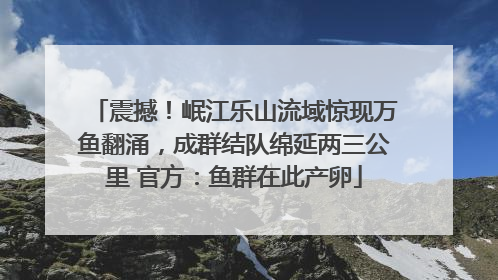 震撼！岷江乐山流域惊现万鱼翻涌，成群结队绵延两三公里 官方：鱼群在此产卵